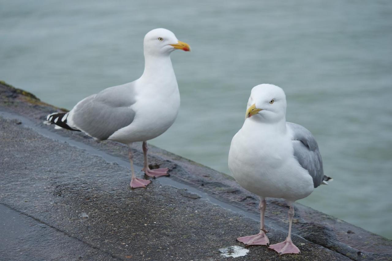 Appartamento Le Galet Dieppe
